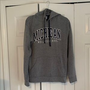 Champion Gray Collegiate Sweatshirt